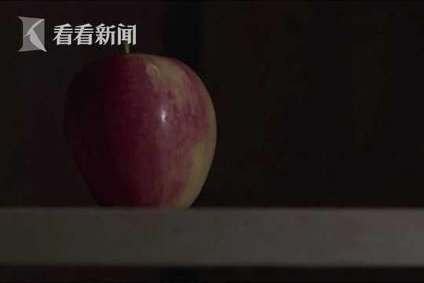 开云最新版app下载-开云最新版app下载