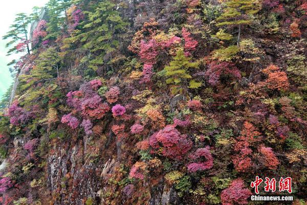 半岛网页版登录入口-半岛网页版登录入口