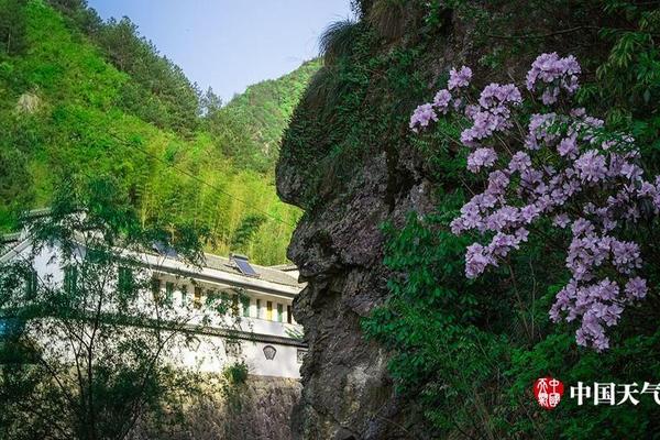 米乐网页版登录入口-清明假期国内旅游出游1.19亿人次，国内游客花费539.5亿