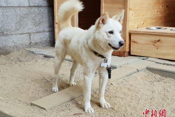 半岛在线体育网-周雨彤 一次醉酒换来一生内向