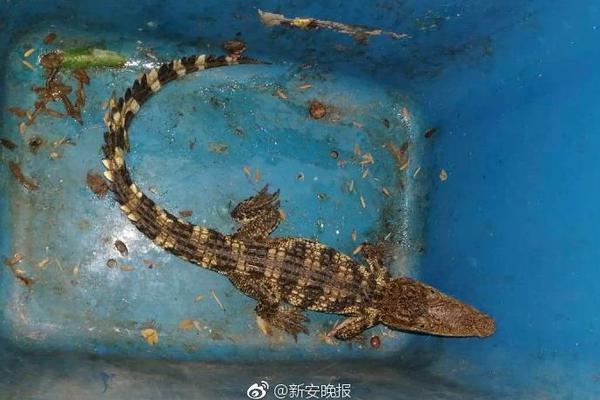 pg赌钱游戏-兰大核学院公布研究生调剂拟录取名单，虐猫考生未在其中，如何看待把个人品行纳入研究生复试标准�？