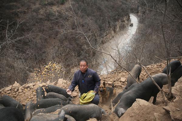 hth华体育app官网登录-今年第19“虎”
：担任中国电科集团副总经理不到一年的何文忠被查