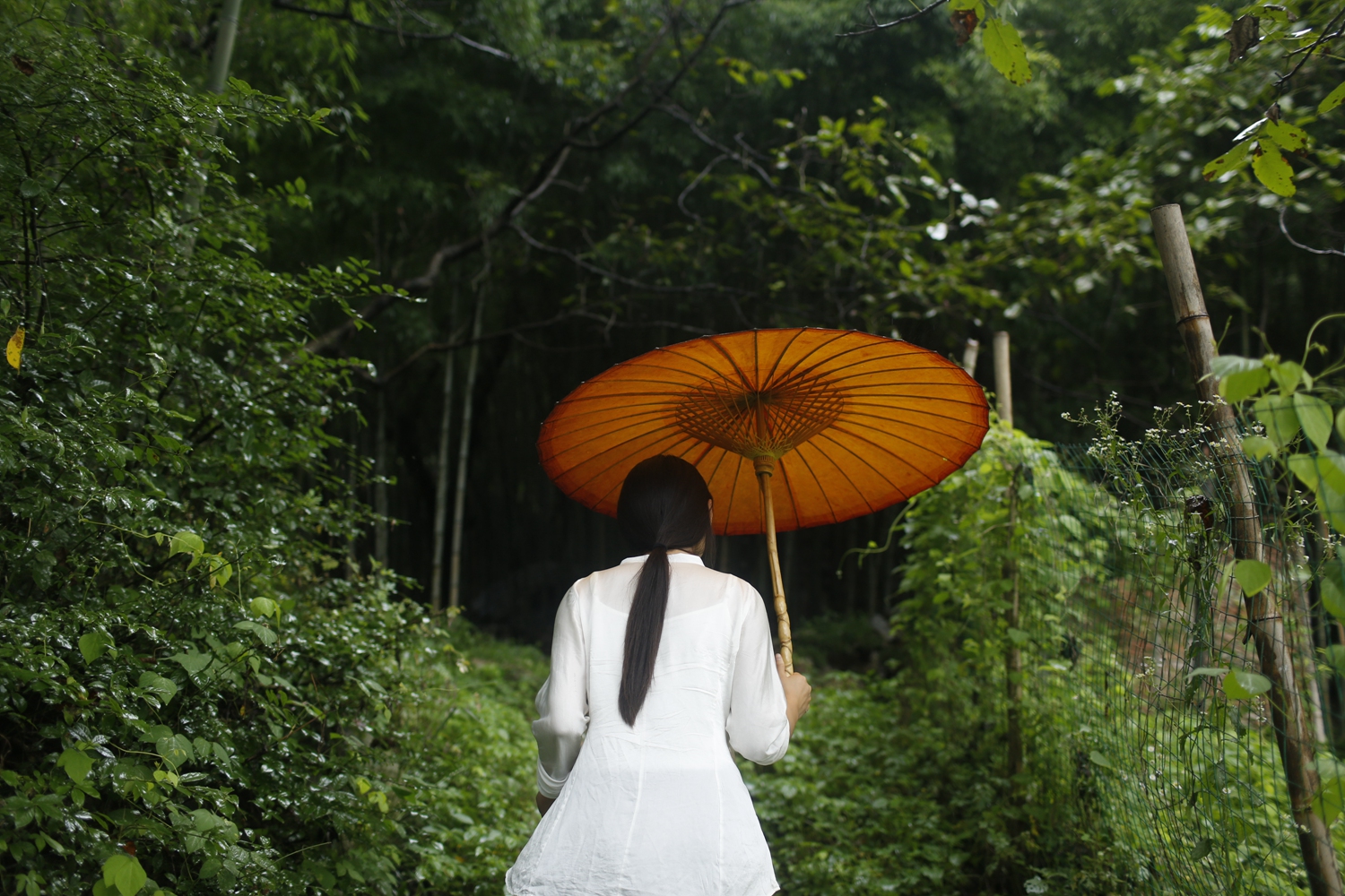 星空app平台官网