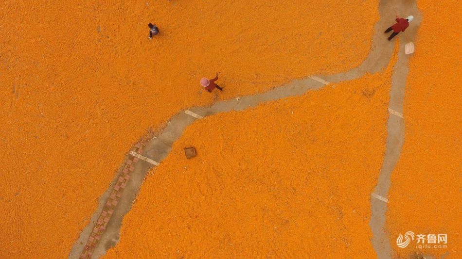 米乐登录平台-米乐登录平台