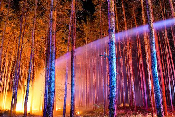 赌钱娱乐下载-浙大女生23年前写的励志标语火了