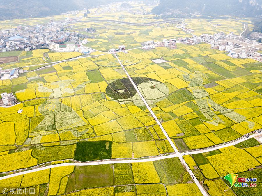 乐鱼在线登录平台-乐鱼在线登录平台