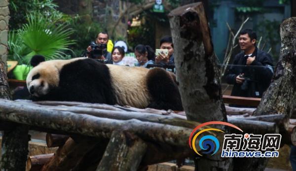 半岛平台下载安装-扎克伯格身家超过马斯克