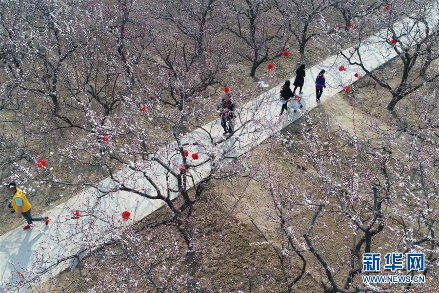 米乐登录平台-米乐登录平台