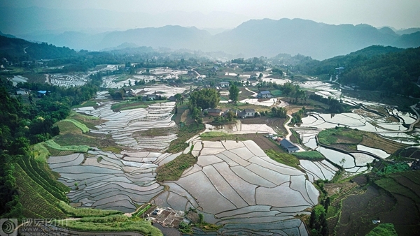 半岛在线登录官网-半岛在线登录官网