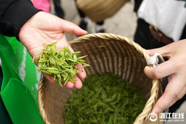 开云app苹果下载-大量粉丝紧急扫货