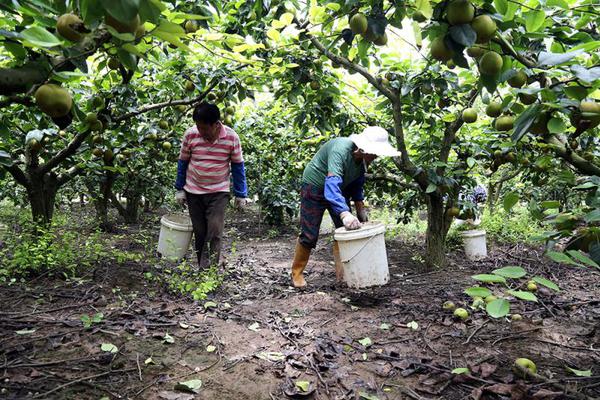 半岛在线登录下载-半岛在线登录下载