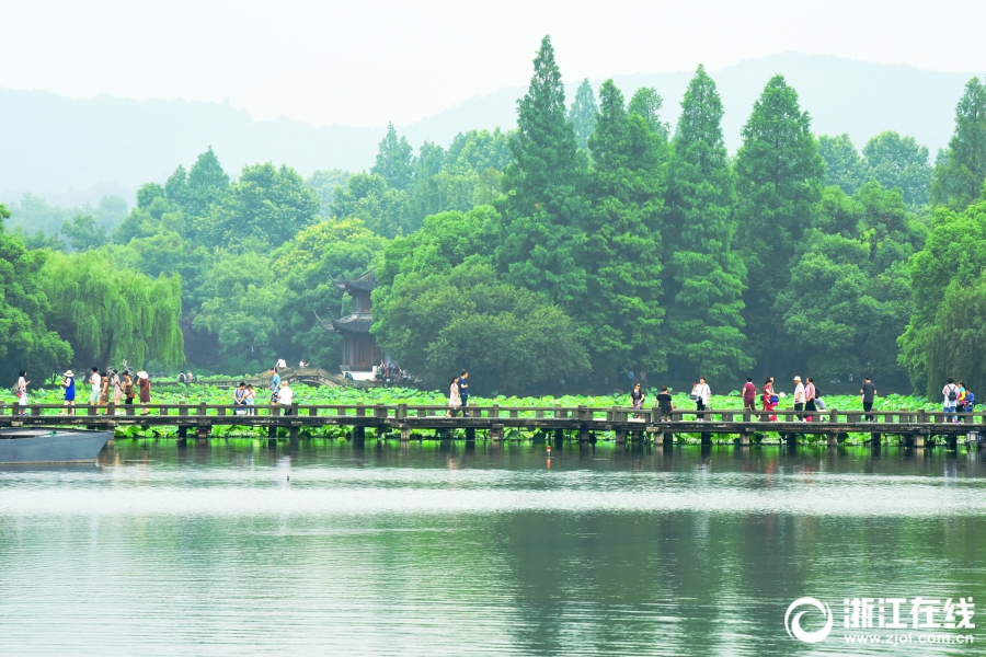 半岛网页版登录入口-电影《你想活出怎样的人生》里面
，夏子为什么要去塔里生产，真人进产房又触犯了什么忌讳
？