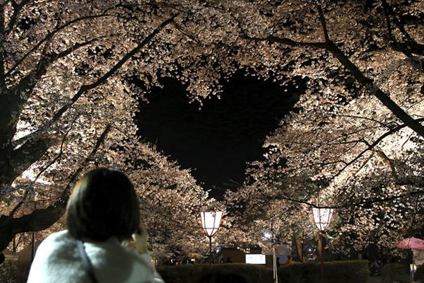 kok最新平台-kok最新平台