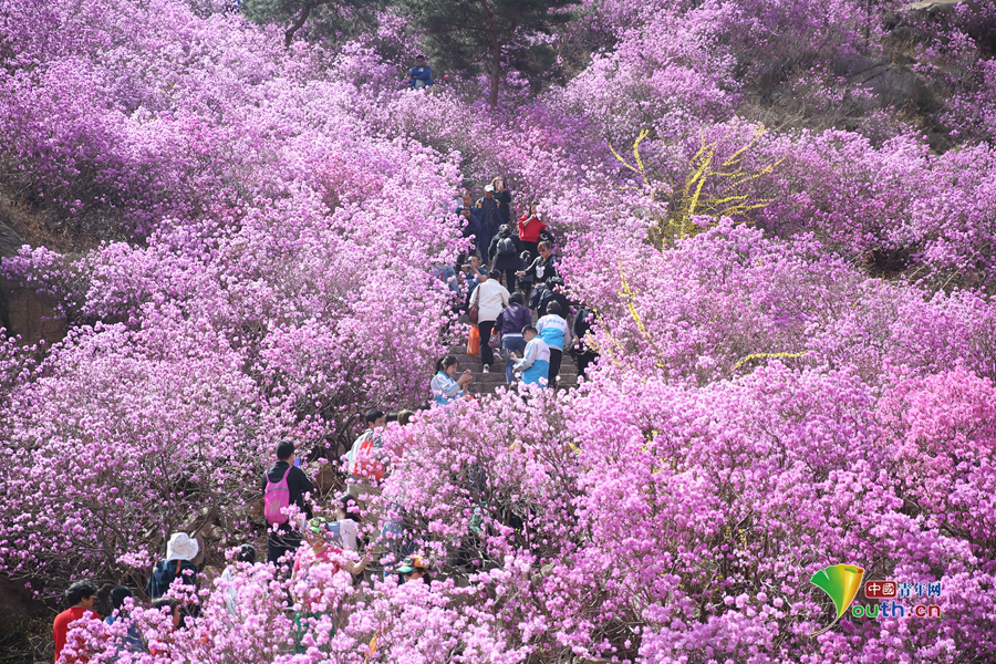 米乐登录平台-米乐登录平台