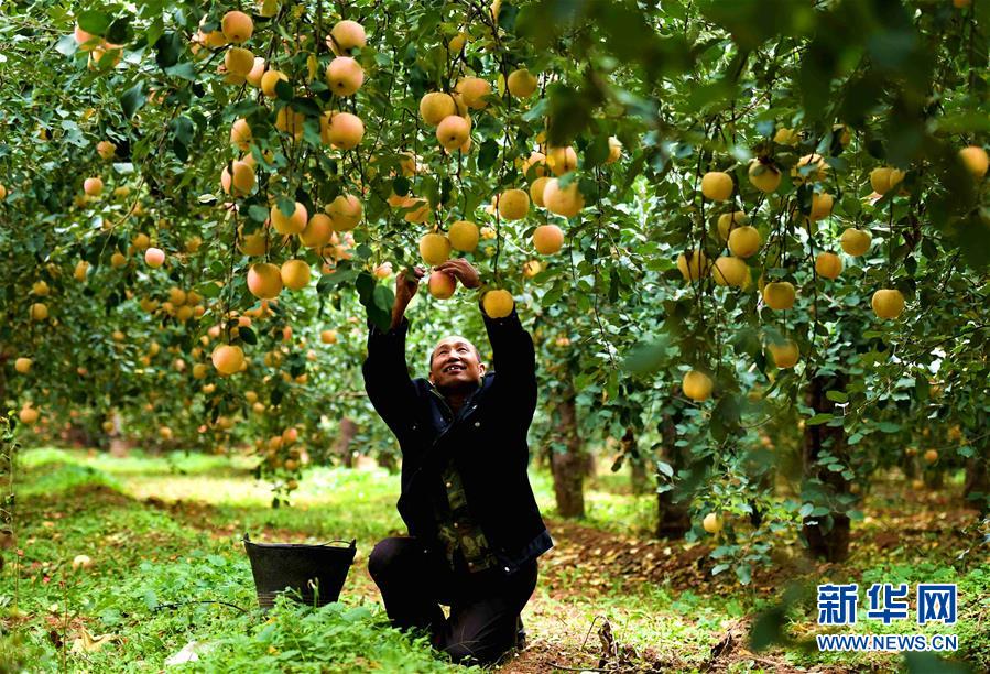 开云游戏app平台相关推荐10