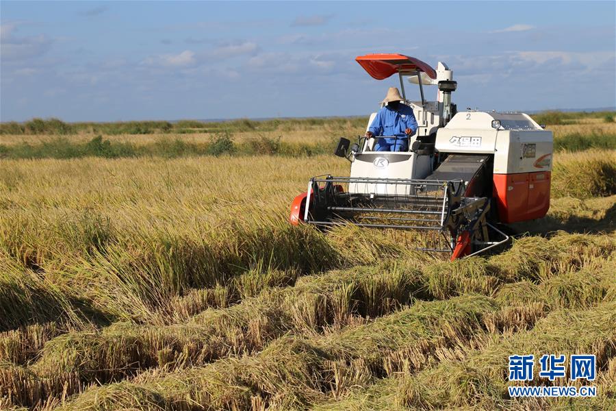 米乐网页版登录入口-知名痔疮药停产后涨价10多倍