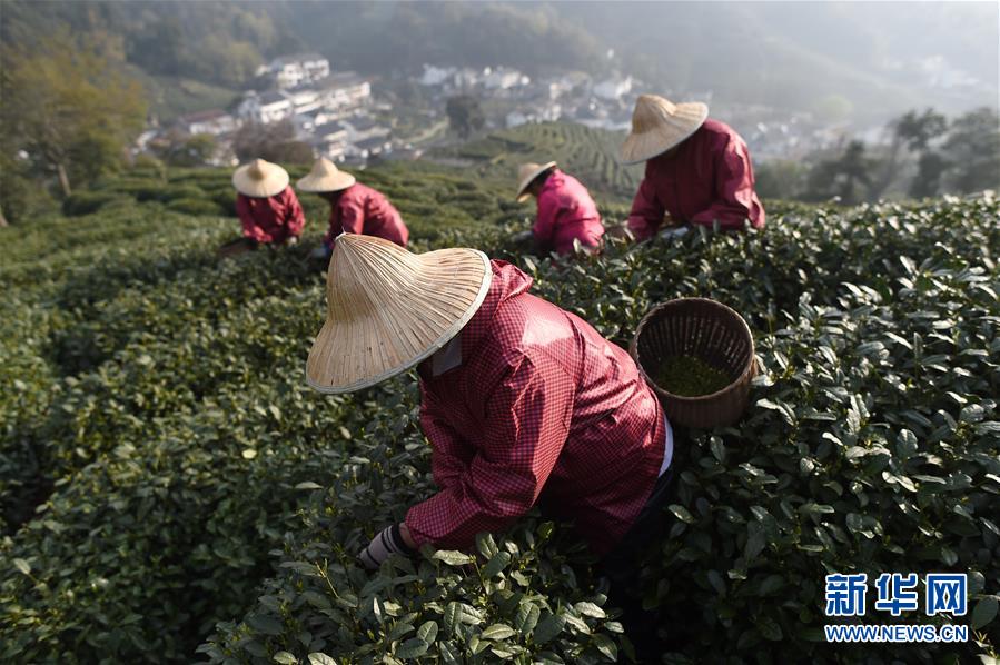 下注app平台-侯宝林老前辈的相声好笑吗？