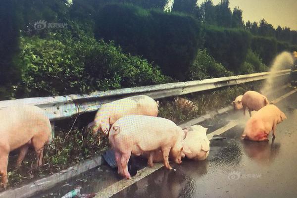 kok电竞首页相关推荐3