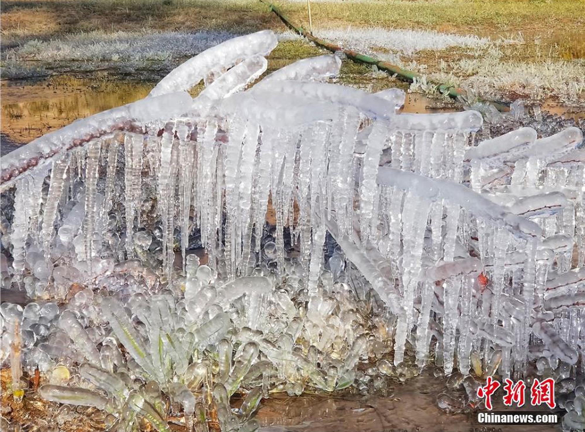 网上买球十大正规平台-网上买球十大正规平台