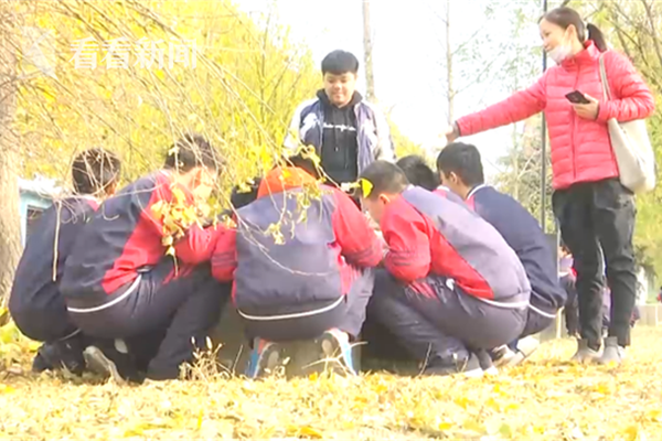 开云app苹果下载-赵丽颖潦草小狗