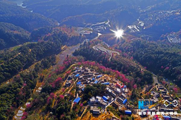 半岛在线登录官网-朱婷曾提退役申请