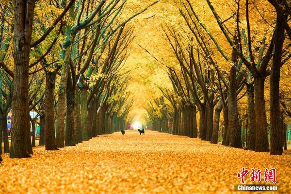 开运体育官网登录入口-孙宇晨拍巴菲特午餐