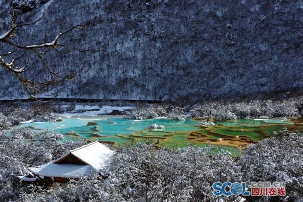 半岛在线登录官网-如何将旧金山愿景转为实景