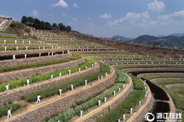 半岛网页版登录入口