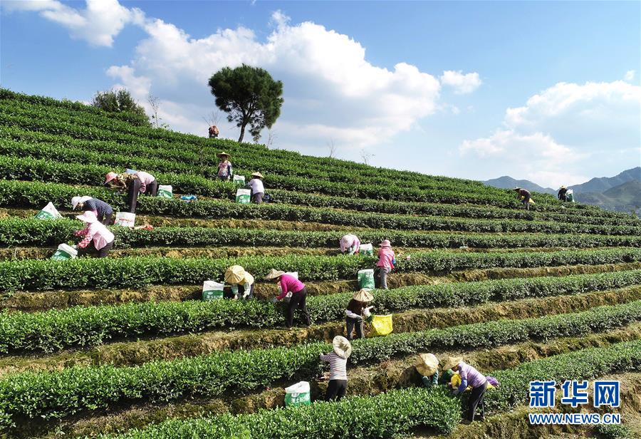 银河游戏娱乐登录