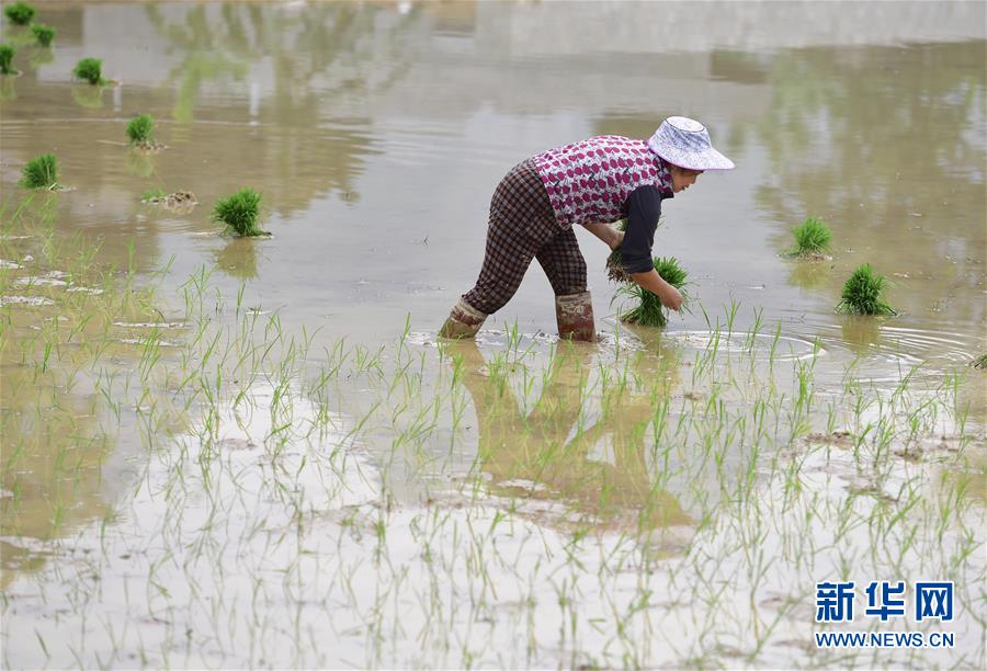 bob半岛最新官网登录-感动中国 2023 年度人物公布�	，俞鸿儒、刘玲琍、张雨霏等在列	，他们有哪些瞬间让你印象深刻？