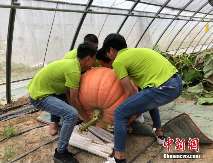 澳门老金沙地址-朱婷宣布回归中国女排