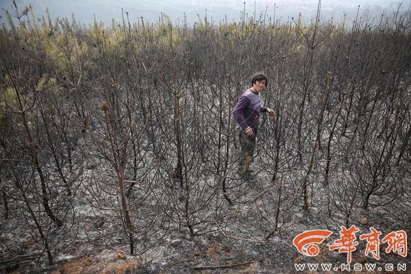 江南登录入口app下载-我国首口超5000米深层地热科学探井