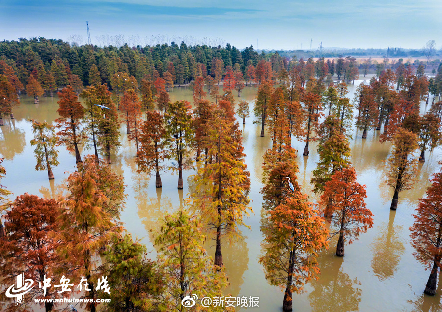 澳门葡萄京网址-澳门葡萄京网址