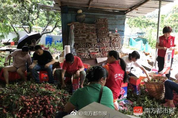 可提现游戏-辽宁铁人俱乐部官宣：范志毅担任教练组组长