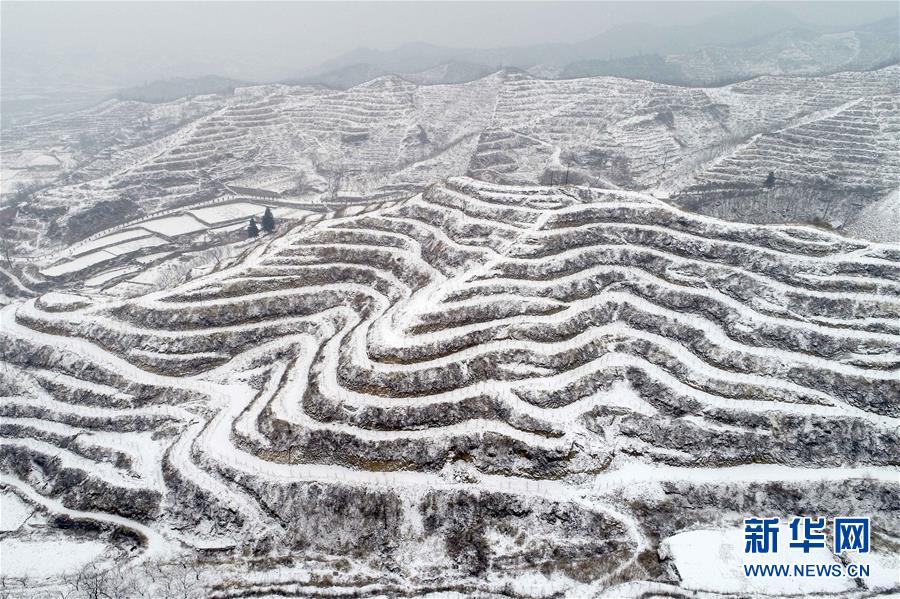 半岛在线登录官网