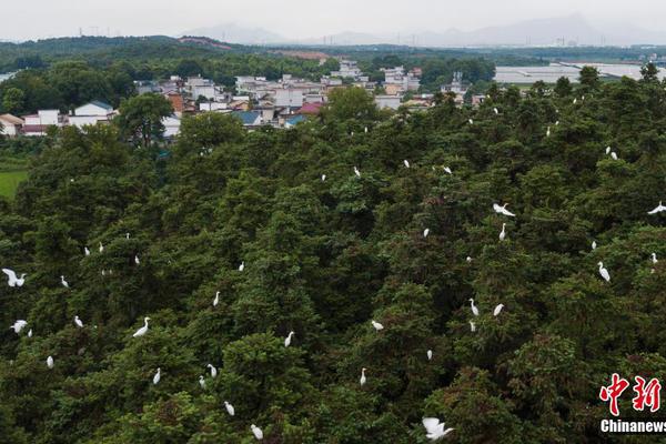 半岛体肓综合下载-有哪些被人类「吃没了」的物种？