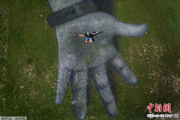 半岛星空体育-胡锡进希望社会给虐猫考生其他通道