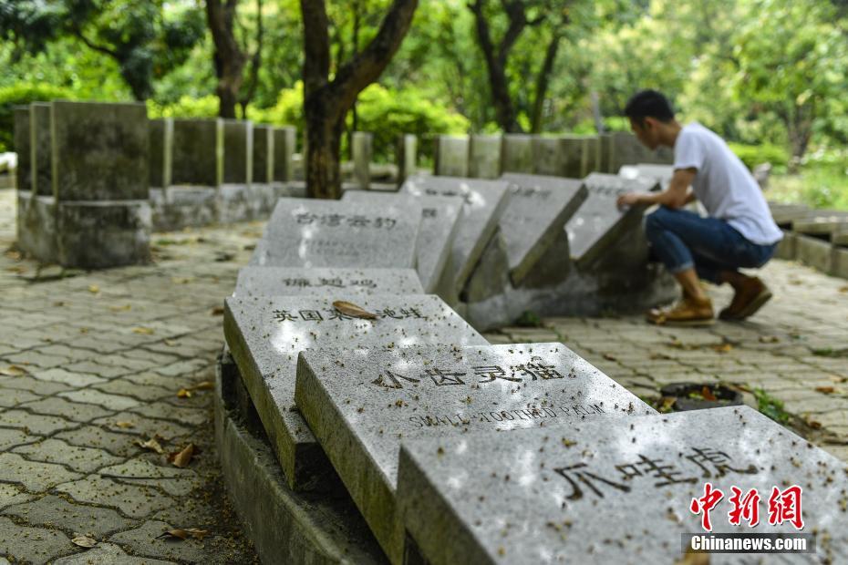 开云在线登陆入口-女子乘自动扶梯上楼半个身子突然被“卷入”，消防紧急救援