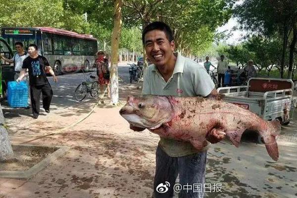 半岛在线登录官网-周雨彤 一次醉酒换来一生内向