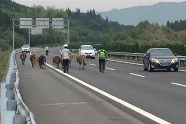 kok电竞首页相关推荐1