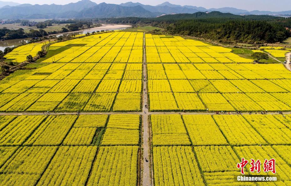 江南官方入口-“提灯定损”之地探访：村里住着很多陪读妈妈，当地民宿遭大量退订