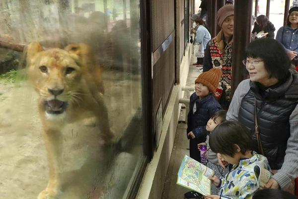 赌钱娱乐下载-保护中心回应大熊猫华美流鼻血