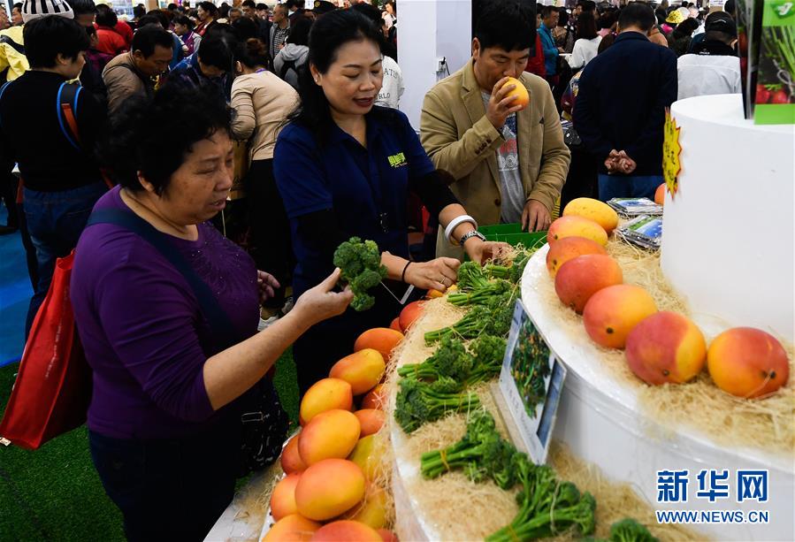 kok电竞首页相关推荐2”