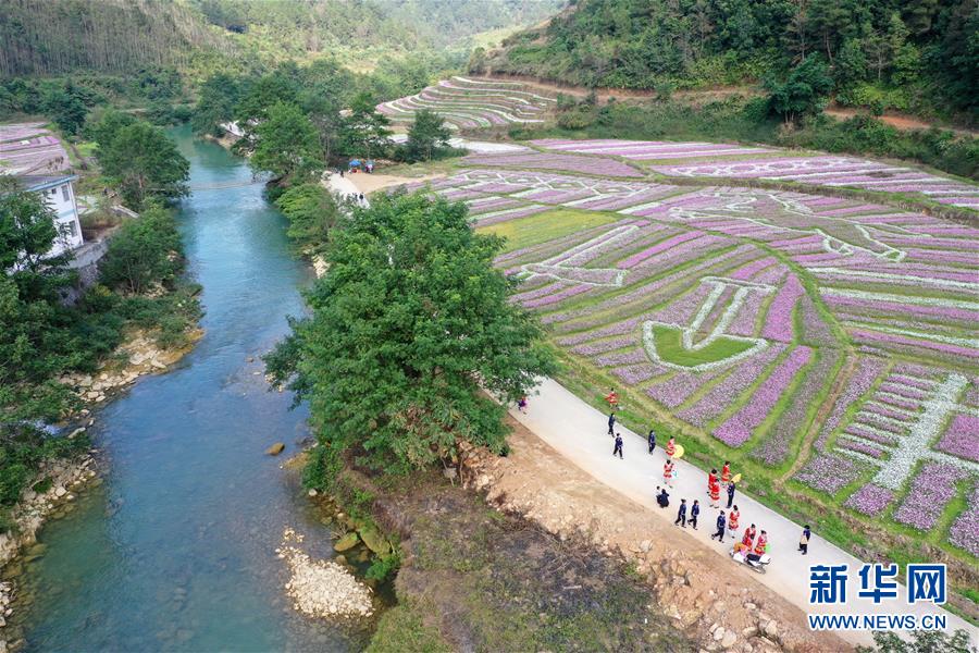 天博克罗地亚app官网下载相关推荐4