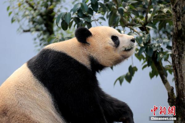 星空体育在线登陆-今年唯一日全食:太阳被吞成指环