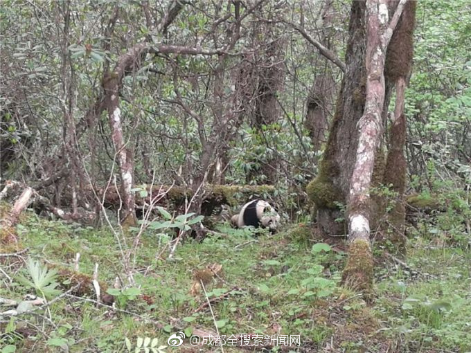 半岛在线体育网相关推荐8