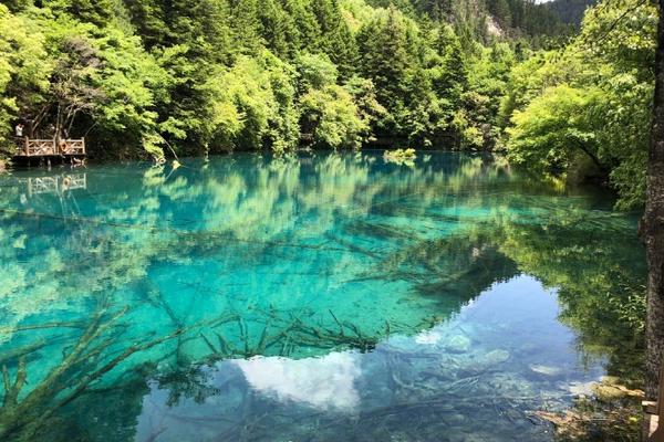 半岛星空体育-清华、天大、复旦等国内各大高校的春日美景陆续进入最佳观赏期，你手机里有哪些「美得不可思议」的春景
？