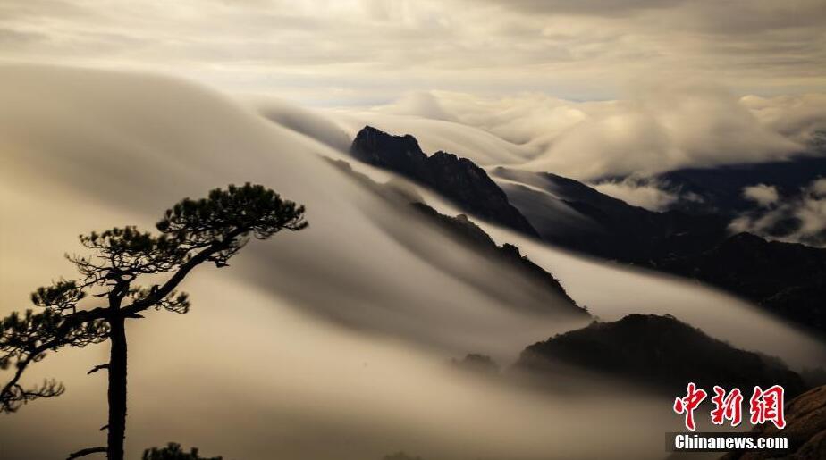 天博tb登录界面