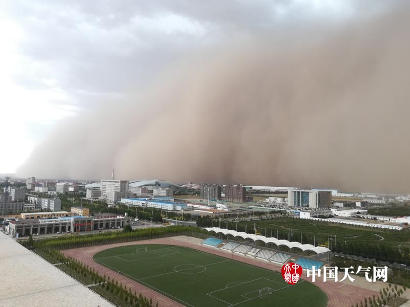 星空网页版在线登陆-江西师大男学生虐猫