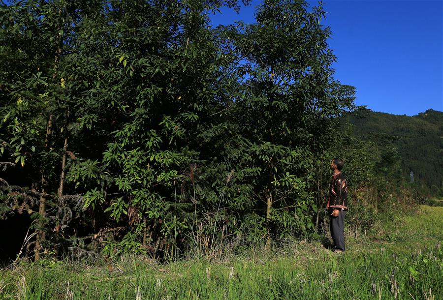 半岛在线登录下载-半岛在线登录下载